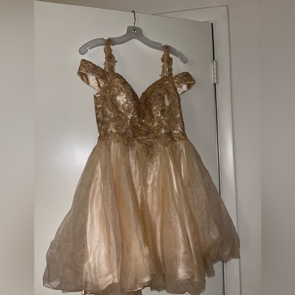 I wore this dress for a quinceañera I was in. Only worn once. Has a corset.